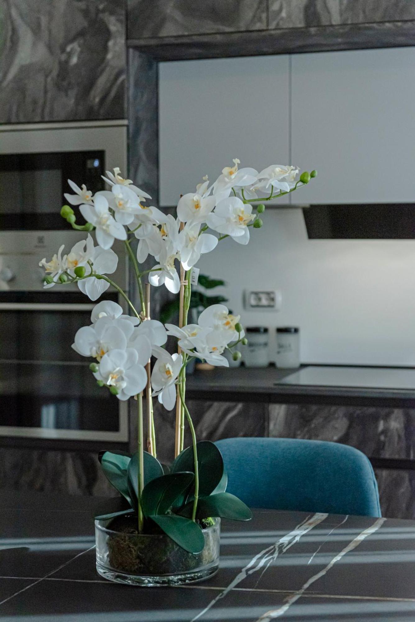 Bed & Breakfast Il Narciso Рим Экстерьер фото
