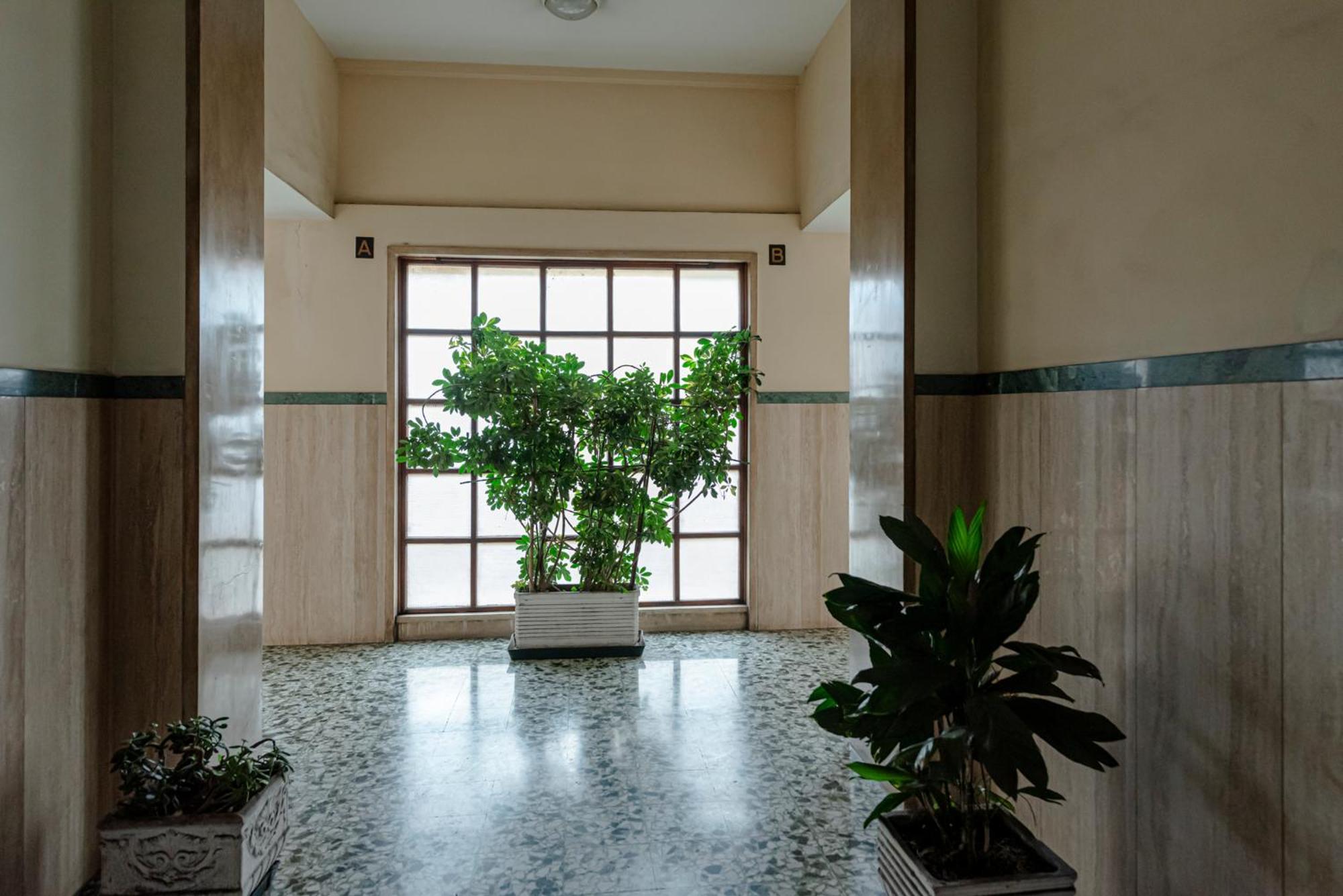Bed & Breakfast Il Narciso Рим Экстерьер фото